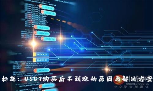 标题: USDT购买后不到账的原因与解决方案