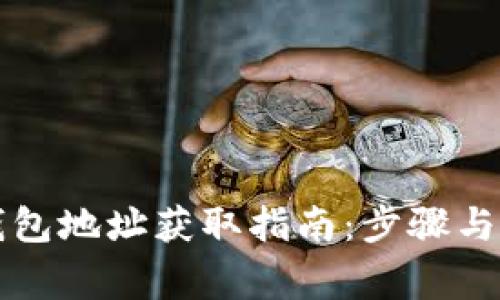 中本聪钱包地址获取指南：步骤与注意事项