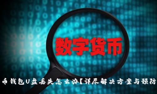 比特币钱包U盘丢失怎么办？详尽解决方案与预防措施