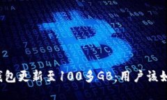 比特币钱包更新至100多GB：用户该如何应对？