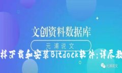 怎样下载和安装Bitdock软件