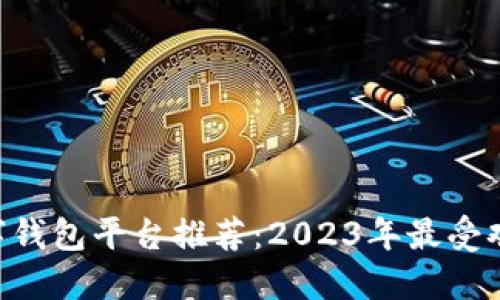 baioti数字钱包平台推荐：2023年最受欢迎的选择