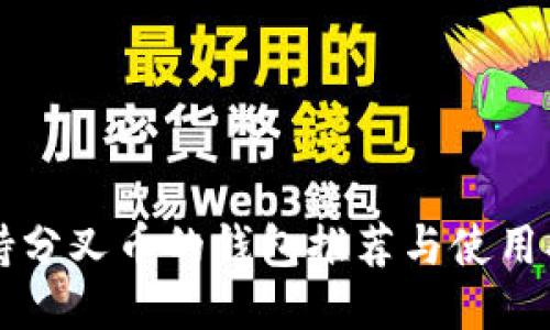 支持分叉币的钱包推荐与使用指南