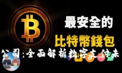 Okpay钱包公司：全面解析数