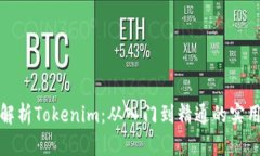 全面解析Tokenim：从入门到