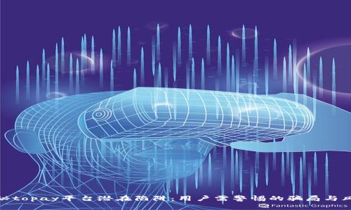 揭秘topay平台潜在陷阱：用户需警惕的骗局与风险