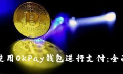 如何使用OKPay钱包进行支付