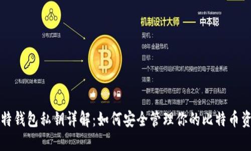 比特钱包私钥详解：如何安全管理你的比特币资产