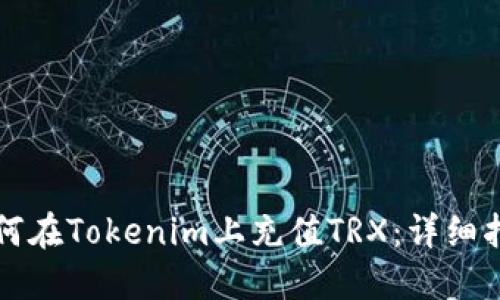 如何在Tokenim上充值TRX：详细指南