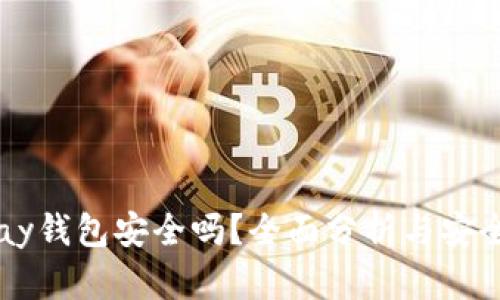 BitPay钱包安全吗？全面分析与安全指南