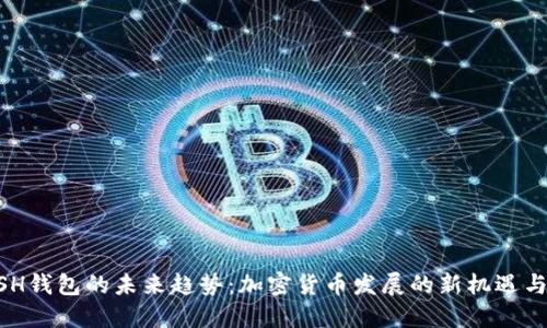 KCASH钱包的未来趋势：加密货币发展的新机遇与挑战