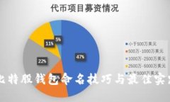 比特股钱包命名技巧与最