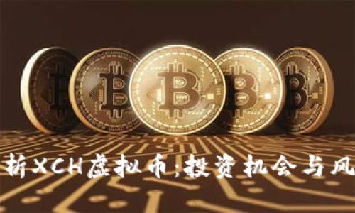 全面解析XCH虚拟币：投资机会与风险评估