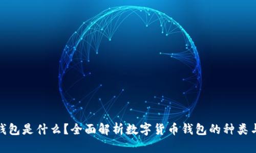 : 币钱包是什么？全面解析数字货币钱包的种类与功能