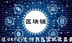 如何通过OKPay支付钱包实现