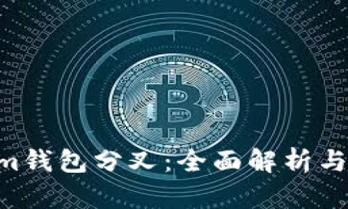 Electrum钱包分叉：全面解析与用户指南