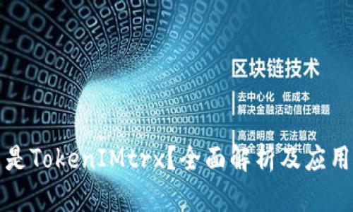 什么是TokenIMtrx？全面解析及应用场景