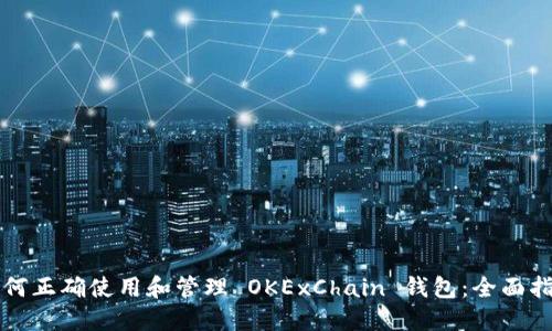 如何正确使用和管理 OKExChain 钱包：全面指南