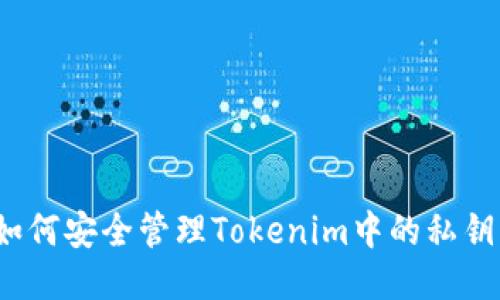 如何安全管理Tokenim中的私钥？