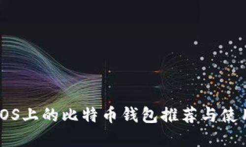 苹果iOS上的比特币钱包推荐与使用指南