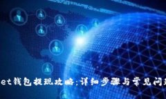 Bitkeet钱包提现攻略：详细步骤与常见问题解析