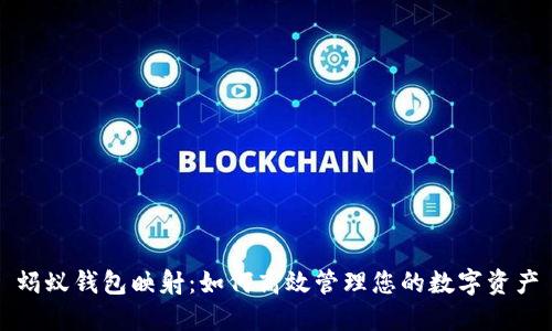 蚂蚁钱包映射：如何高效管理您的数字资产