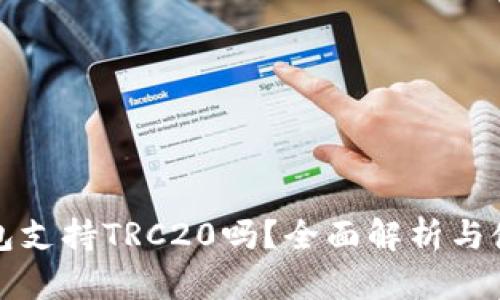 小狐钱包支持TRC20吗？全面解析与使用指南