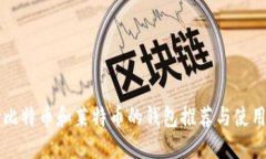 支持比特币和莱特币的钱包推荐与使用指南