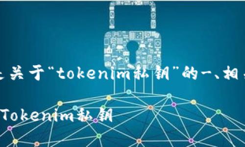 根据您的请求，以下是关于“tokenim私钥”的-、相关关键词及内容大纲。

如何安全管理和使用Tokenim私钥