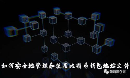 如何安全地管理和使用比特币钱包地址文件