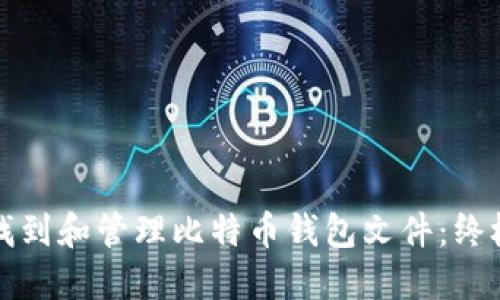 如何找到和管理比特币钱包文件：终极指南