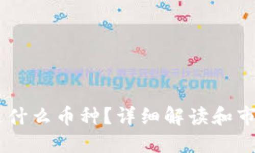 USDT是什么币种？详细解读和市场影响