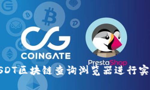 如何使用USDT区块链查询浏览器进行实时数据查找