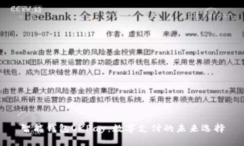 智能钱包OKPay：数字支付的未来选择
