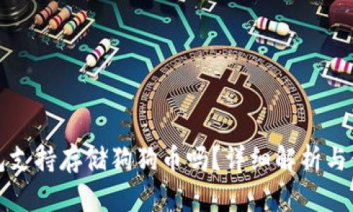 小狐钱包支持存储狗狗币吗？详细解析与使用指南