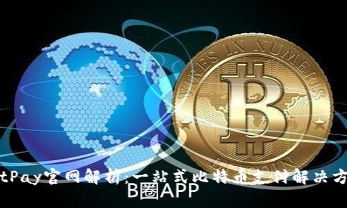 BitPay官网解析：一站式比特币支付解决方案