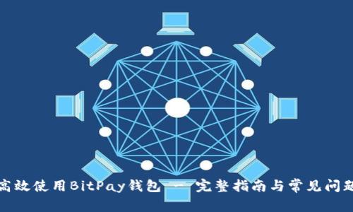 如何高效使用BitPay钱包 - 完整指南与常见问题解答