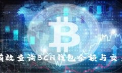 如何有效查询BCH钱包余额