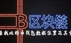 如何查找比特币钱包数据
