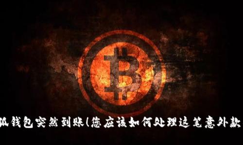小狐钱包突然到账！您应该如何处理这笔意外款项？