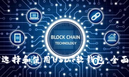 如何选择和使用USDT软钱包：全面指南