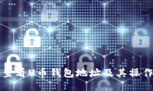 如何查看U币钱包地址及其操作指南