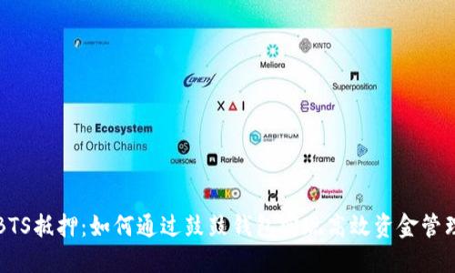 BTS抵押：如何通过鼓鼓钱包实现高效资金管理