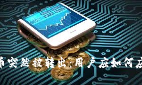 Tokenim币突然被转出：用户应如何应对与防范