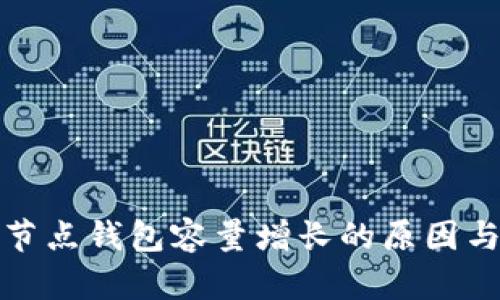 比特币全节点钱包容量增长的原因与应对策略
