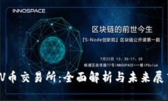 VV币交易所：全面解析与未