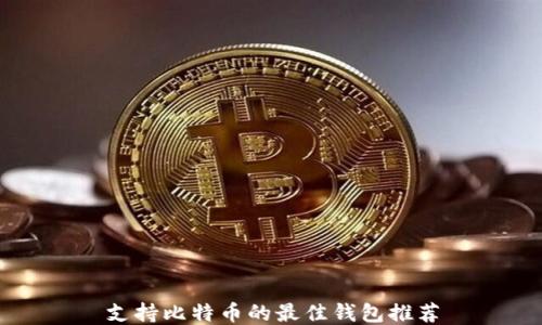 
支持比特币的最佳钱包推荐